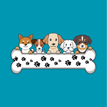 Fundraiser Profile Image