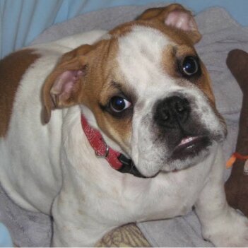 Fundraiser Profile Image