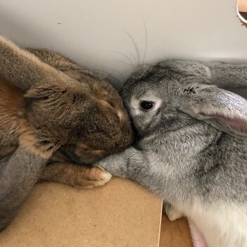 Fundraiser Profile Image