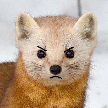 Fundraiser Profile Image