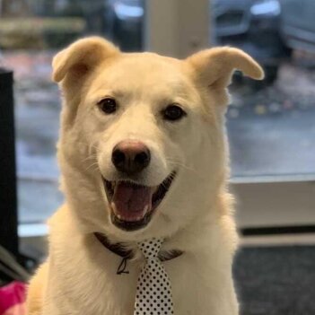 Fundraiser Profile Image