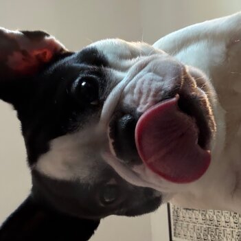 Fundraiser Profile Image