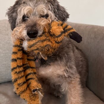 Fundraiser Profile Image