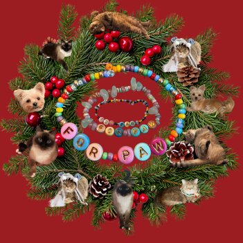 Fundraiser Profile Image