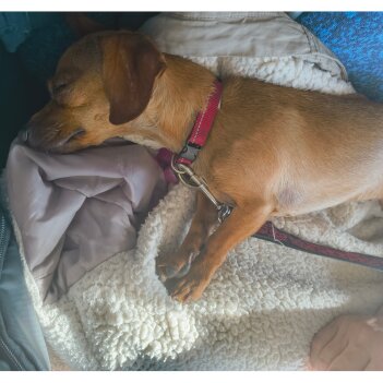 Fundraiser Profile Image